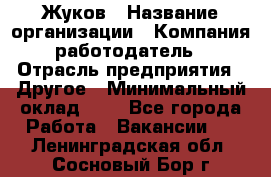 Жуков › Название организации ­ Компания-работодатель › Отрасль предприятия ­ Другое › Минимальный оклад ­ 1 - Все города Работа » Вакансии   . Ленинградская обл.,Сосновый Бор г.